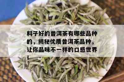 料子好的普洱茶有哪些品种的，揭秘优质普洱茶品种，让你品味不一样的口感世界！