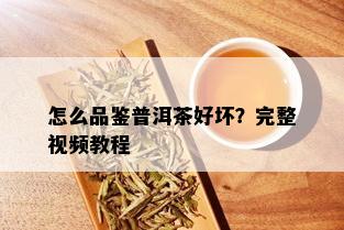 怎么品鉴普洱茶好坏？完整视频教程