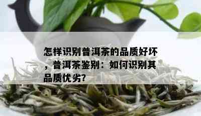 怎样识别普洱茶的品质好坏，普洱茶鉴别：如何识别其品质优劣？