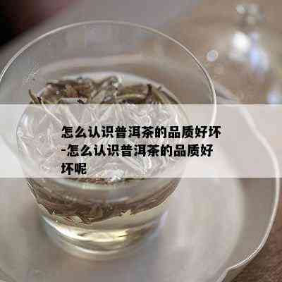 怎么认识普洱茶的品质好坏-怎么认识普洱茶的品质好坏呢