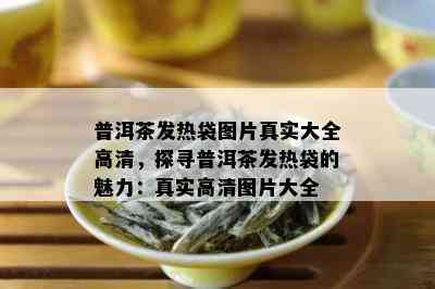 普洱茶发热袋图片真实大全高清，探寻普洱茶发热袋的魅力：真实高清图片大全