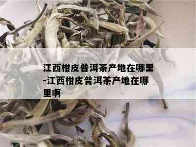 江西柑皮普洱茶产地在哪里-江西柑皮普洱茶产地在哪里啊