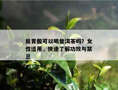 反胃酸可以喝普洱茶吗？女性适用，快速了解功效与禁忌