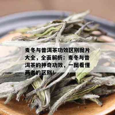 麦冬与普洱茶功效区别图片大全，全面解析：麦冬与普洱茶的神奇功效，一图看懂两者的区别！