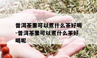 普洱茶里可以煮什么茶好喝-普洱茶里可以煮什么茶好喝呢