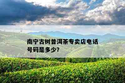 南宁古树普洱茶专卖店电话号码是多少？