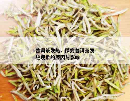 普洱茶发热，探究普洱茶发热现象的原因与影响