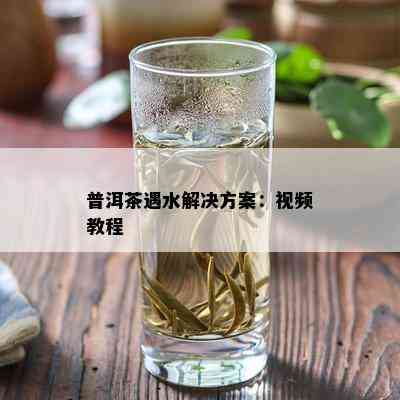 普洱茶遇水解决方案：视频教程