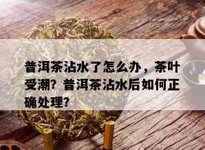 普洱茶沾水了怎么办，茶叶受潮？普洱茶沾水后如何正确处理？