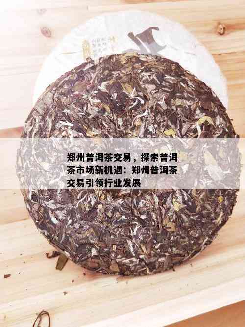 郑州普洱茶交易，探索普洱茶市场新机遇：郑州普洱茶交易引领行业发展