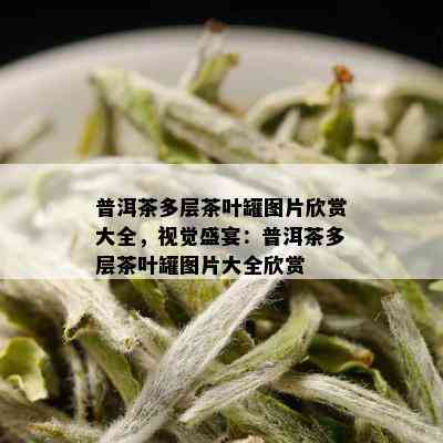 普洱茶多层茶叶罐图片欣赏大全，视觉盛宴：普洱茶多层茶叶罐图片大全欣赏