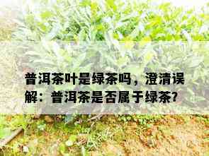 普洱茶叶是绿茶吗，澄清误解：普洱茶是否属于绿茶？