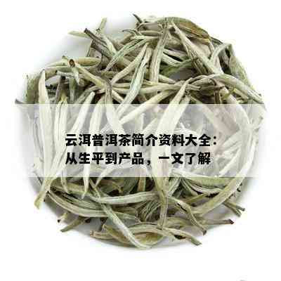 云洱普洱茶简介资料大全：从生平到产品，一文了解