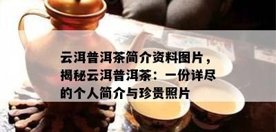 云洱普洱茶简介资料图片，揭秘云洱普洱茶：一份详尽的个人简介与珍贵照片