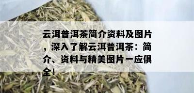 云洱普洱茶简介资料及图片，深入了解云洱普洱茶：简介、资料与精美图片一应俱全！