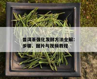 普洱茶强化发酵方法全解：步骤、图片与视频教程