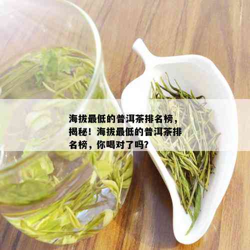 海拔更低的普洱茶排名榜，揭秘！海拔更低的普洱茶排名榜，你喝对了吗？