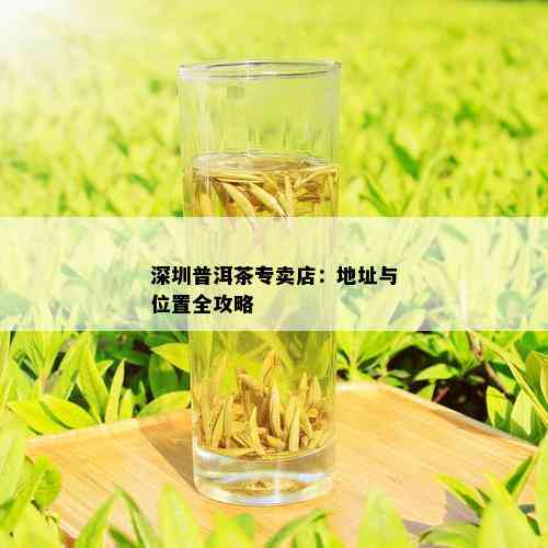 深圳普洱茶专卖店：地址与位置全攻略