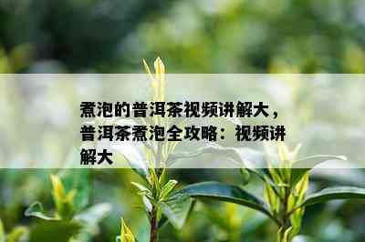 煮泡的普洱茶视频讲解大，普洱茶煮泡全攻略：视频讲解大