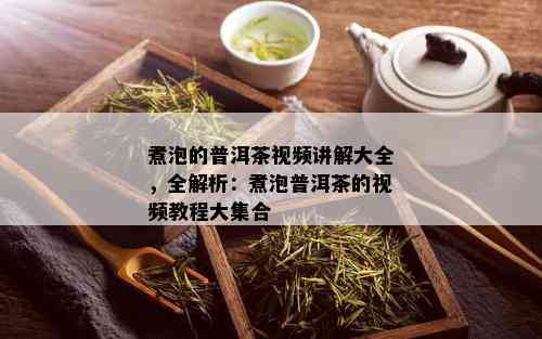 煮泡的普洱茶视频讲解大全，全解析：煮泡普洱茶的视频教程大集合