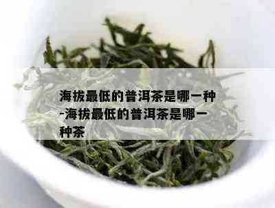 海拔更低的普洱茶是哪一种-海拔更低的普洱茶是哪一种茶