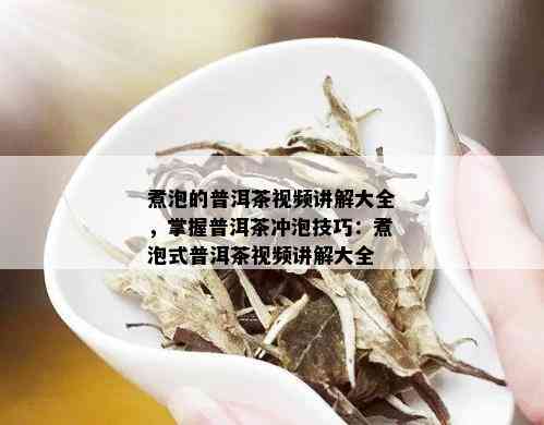 煮泡的普洱茶视频讲解大全，掌握普洱茶冲泡技巧：煮泡式普洱茶视频讲解大全