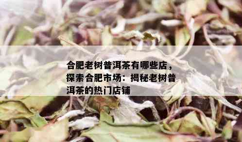 合肥老树普洱茶有哪些店，探索合肥市场：揭秘老树普洱茶的热门店铺