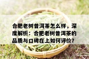 合肥老树普洱茶怎么样，深度解析：合肥老树普洱茶的品质与口碑在上如何评价？