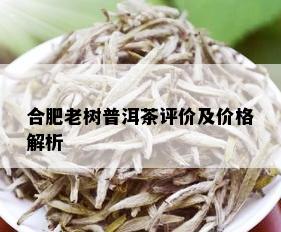 合肥老树普洱茶评价及价格解析