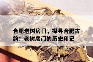 合肥老树房门，探寻合肥古韵：老树房门的历史印记