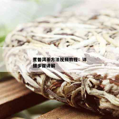 煮普洱茶方法视频教程：详细步骤讲解