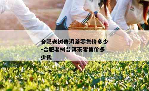 合肥老树普洱茶零售价多少-合肥老树普洱茶零售价多少钱