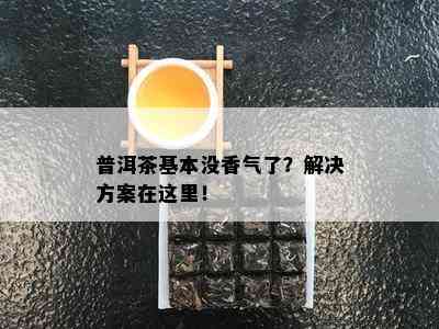 普洱茶基本没香气了？解决方案在这里！