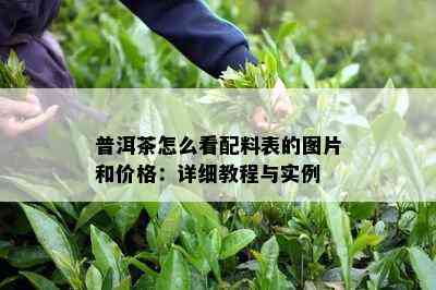 普洱茶怎么看配料表的图片和价格：详细教程与实例