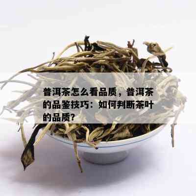 普洱茶怎么看品质，普洱茶的品鉴技巧：如何判断茶叶的品质？