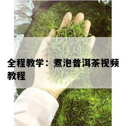 全程教学：煮泡普洱茶视频教程