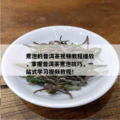 煮泡的普洱茶视频教程播放，掌握普洱茶煮泡技巧，一站式学习视频教程！