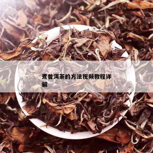 煮普洱茶的方法视频教程详解