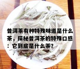 普洱茶有种特殊味道是什么茶，探秘普洱茶的特殊口感：它到底是什么茶？