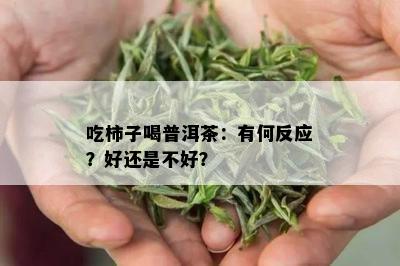 吃柿子喝普洱茶：有何反应？好还是不好？