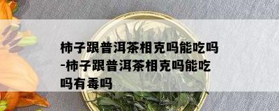 柿子跟普洱茶相克吗能吃吗-柿子跟普洱茶相克吗能吃吗有吗