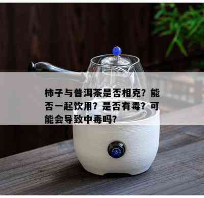 柿子与普洱茶是否相克？能否一起饮用？是否有？可能会导致中吗？