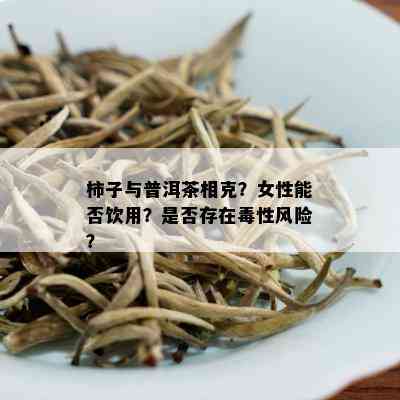 柿子与普洱茶相克？女性能否饮用？是否存在性风险？