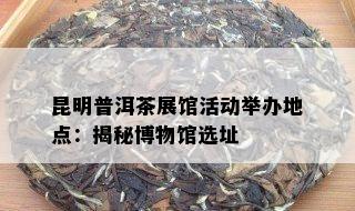 昆明普洱茶展馆活动举办地点：揭秘博物馆选址