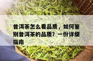 普洱茶怎么看品质，如何鉴别普洱茶的品质？一份详细指南