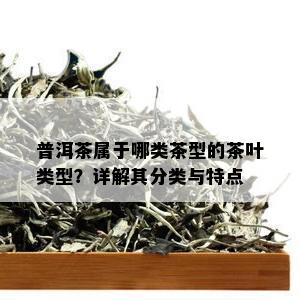 普洱茶属于哪类茶型的茶叶类型？详解其分类与特点