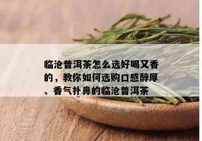 临沧普洱茶怎么选好喝又香的，教你如何选购口感醇厚、香气扑鼻的临沧普洱茶