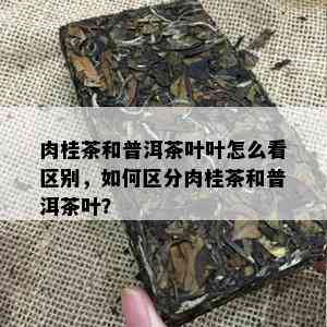 肉桂茶和普洱茶叶叶怎么看区别，如何区分肉桂茶和普洱茶叶？