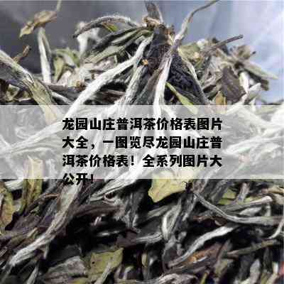 龙园山庄普洱茶价格表图片大全，一图览尽龙园山庄普洱茶价格表！全系列图片大公开！