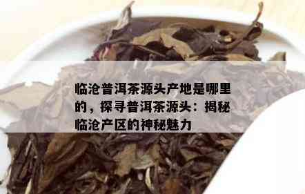 临沧普洱茶源头产地是哪里的，探寻普洱茶源头：揭秘临沧产区的神秘魅力